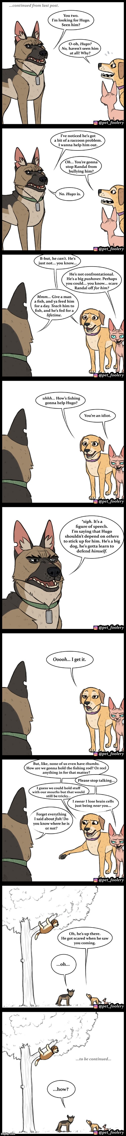 image tagged in dogs,cat,racoon,fish,fishing,tree | made w/ Imgflip meme maker