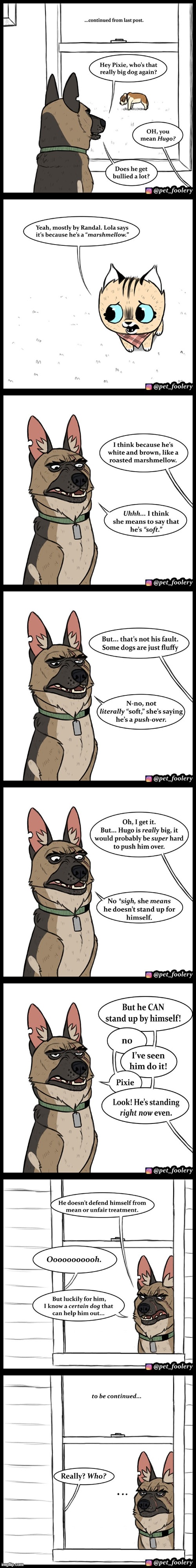 image tagged in dogs,cat,racoon,stand,up,stand up | made w/ Imgflip meme maker