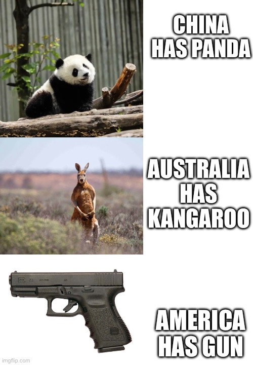 Aodnaowdunad | CHINA HAS PANDA; AUSTRALIA HAS KANGAROO; AMERICA HAS GUN | image tagged in guns,china,australia,america,funny,memes | made w/ Imgflip meme maker