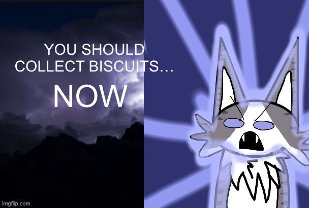 Bigboi | YOU SHOULD COLLECT BISCUITS…; NOW | image tagged in funny lightning man,cat | made w/ Imgflip meme maker