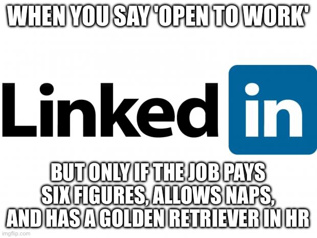 WHEN YOU SAY 'OPEN TO WORK' | WHEN YOU SAY 'OPEN TO WORK'; BUT ONLY IF THE JOB PAYS SIX FIGURES, ALLOWS NAPS, AND HAS A GOLDEN RETRIEVER IN HR | image tagged in scumbag linkedin,linkedin,work,job,nap,income inequality | made w/ Imgflip meme maker
