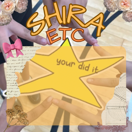 High Quality shira’s best temp Blank Meme Template