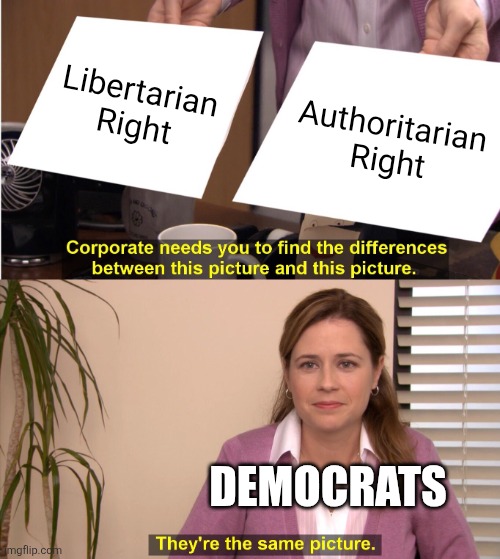 Regular Democrat Logic | Libertarian Right; Authoritarian Right; DEMOCRATS | image tagged in memes,they're the same picture | made w/ Imgflip meme maker