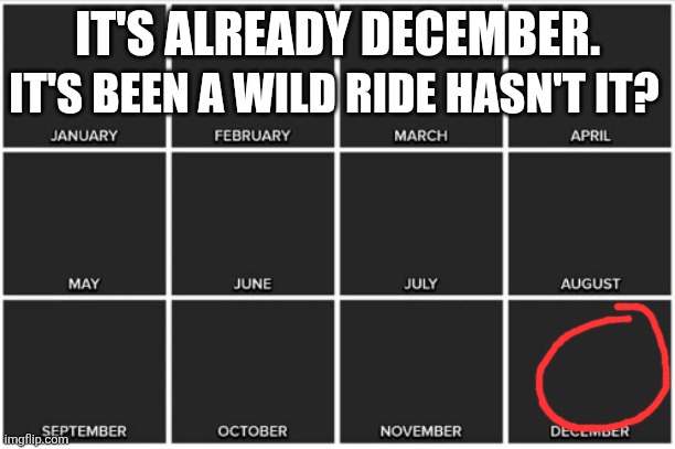 2025 Felt Short... | IT'S ALREADY DECEMBER. IT'S BEEN A WILD RIDE HASN'T IT? | image tagged in calendar | made w/ Imgflip meme maker