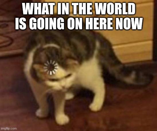huh | WHAT IN THE WORLD IS GOING ON HERE NOW | image tagged in loading cat | made w/ Imgflip meme maker
