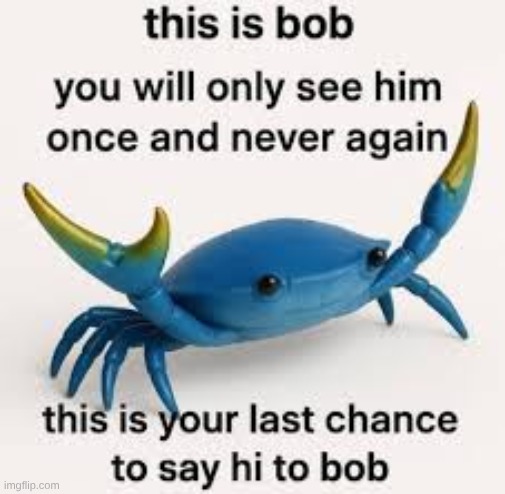 image tagged in crab | made w/ Imgflip meme maker