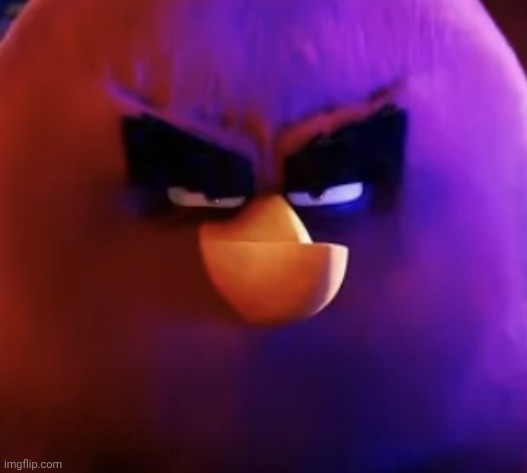 Terence staring | image tagged in terence staring | made w/ Imgflip meme maker