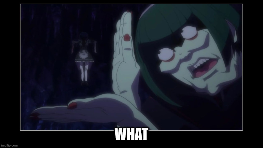 what happened | WHAT | image tagged in sanctuary guardian template,anime,re zero,what,anime meme | made w/ Imgflip meme maker