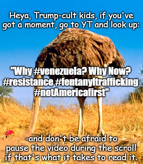 Just sayin' | Heya, Trump-cult kids, if you've got a moment, go to YT and look up:; "Why #venezuela? Why Now? 
#resistance #fentanyltrafficking 
#notAmericafirst"; -and don't be afraid to pause the video during the scroll if that's what it takes to read it. | image tagged in denial be like,trump,cult,denial,just sayin' | made w/ Imgflip meme maker