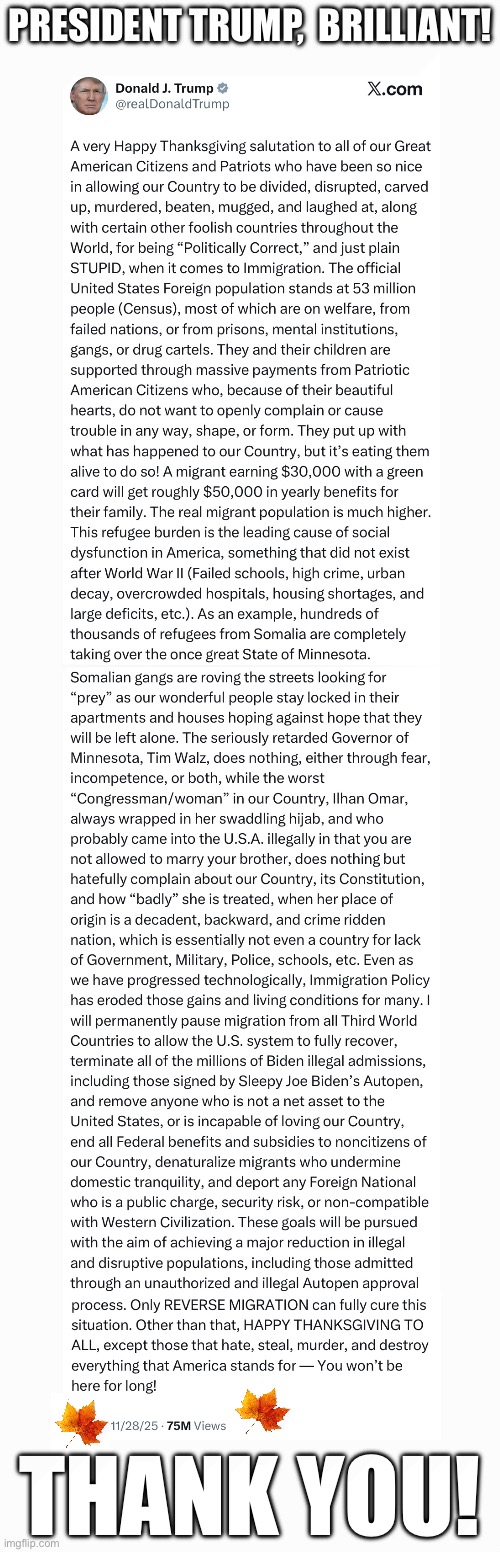 President Trump, thank you! | PRESIDENT TRUMP,  BRILLIANT! THANK YOU! | image tagged in president trump,donald trump,republican party,illegal immigration,trump immigration policy,law | made w/ Imgflip meme maker