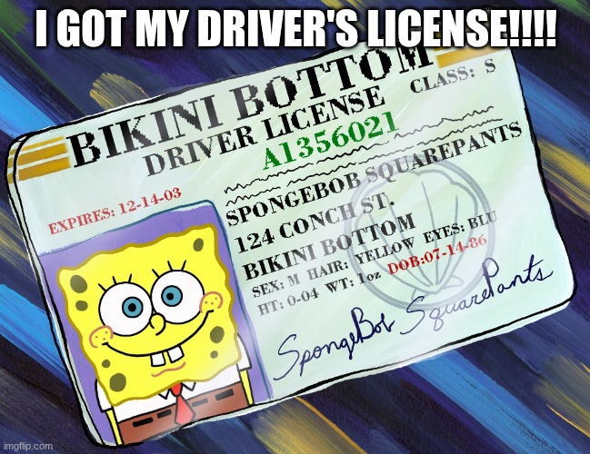 Hey Guys! Big Life Update!!! | I GOT MY DRIVER'S LICENSE!!!! | image tagged in spongebob squarepants' driver license | made w/ Imgflip meme maker