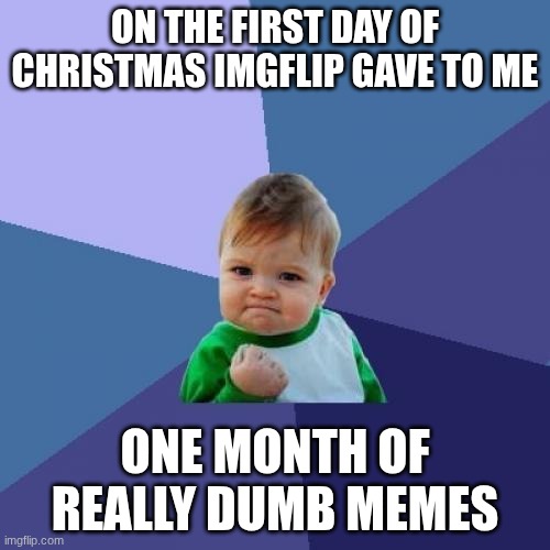 Catt Christmas 1/25 | ON THE FIRST DAY OF CHRISTMAS IMGFLIP GAVE TO ME; ONE MONTH OF REALLY DUMB MEMES | image tagged in memes,success kid | made w/ Imgflip meme maker
