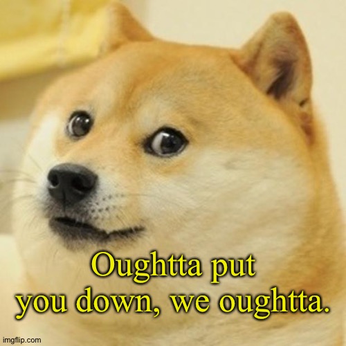 Doge Meme | Oughtta put you down, we oughtta. | image tagged in memes,doge | made w/ Imgflip meme maker