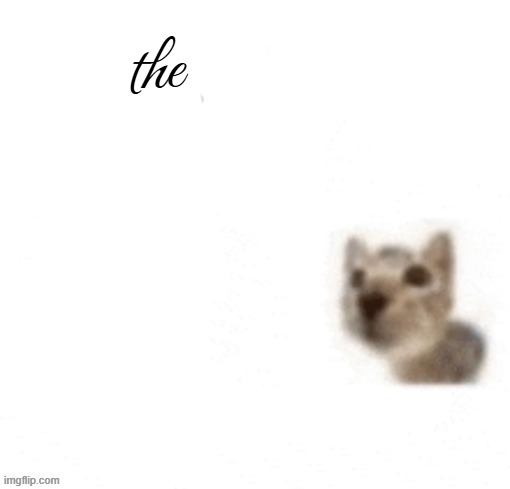 the | made w/ Imgflip meme maker