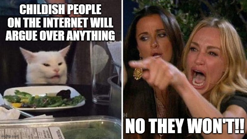 Rage Bait Cat | CHILDISH PEOPLE ON THE INTERNET WILL ARGUE OVER ANYTHING; NO THEY WON'T!! | image tagged in funny memes,woman yelling at cat,argument,internet,immature | made w/ Imgflip meme maker