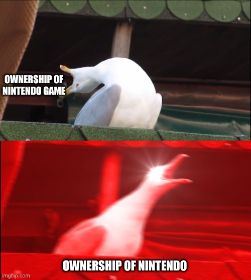 Deep Breath Seagull | OWNERSHIP OF NINTENDO GAME; OWNERSHIP OF NINTENDO | image tagged in deep breath seagull | made w/ Imgflip meme maker