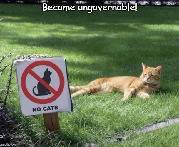 ungovernable cat | Become ungovernable! | image tagged in cats | made w/ Imgflip meme maker