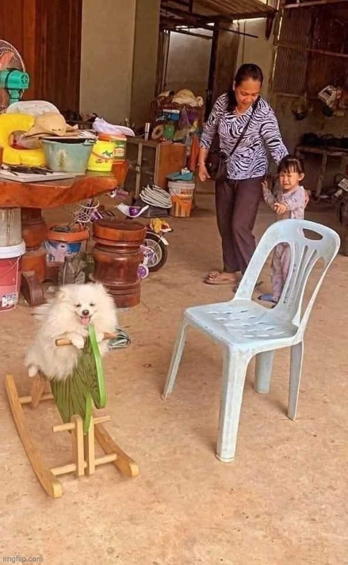 LMAO CRY ABOUT IT | image tagged in dogz | made w/ Imgflip meme maker