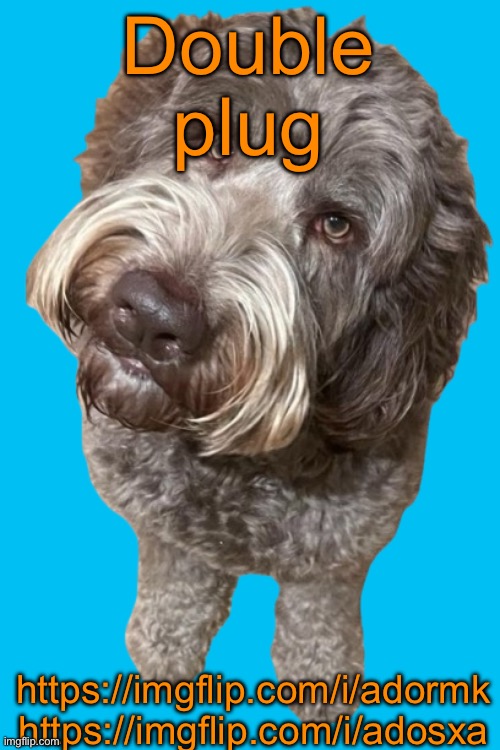 They’re in the politics stream but who cares | Double plug; https://imgflip.com/i/adormk
https://imgflip.com/i/adosxa | image tagged in northers dog transparent | made w/ Imgflip meme maker