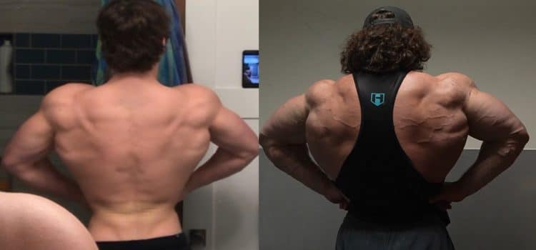 Sulek Transform Blank Meme Template