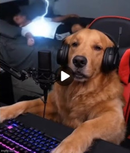 hasan piker | made w/ Imgflip meme maker