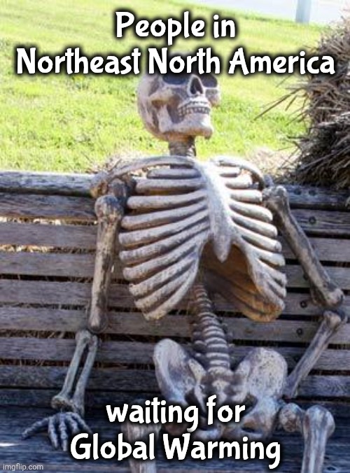 People in Northeast North America waiting for Global Warming | image tagged in memes,waiting skeleton | made w/ Imgflip meme maker