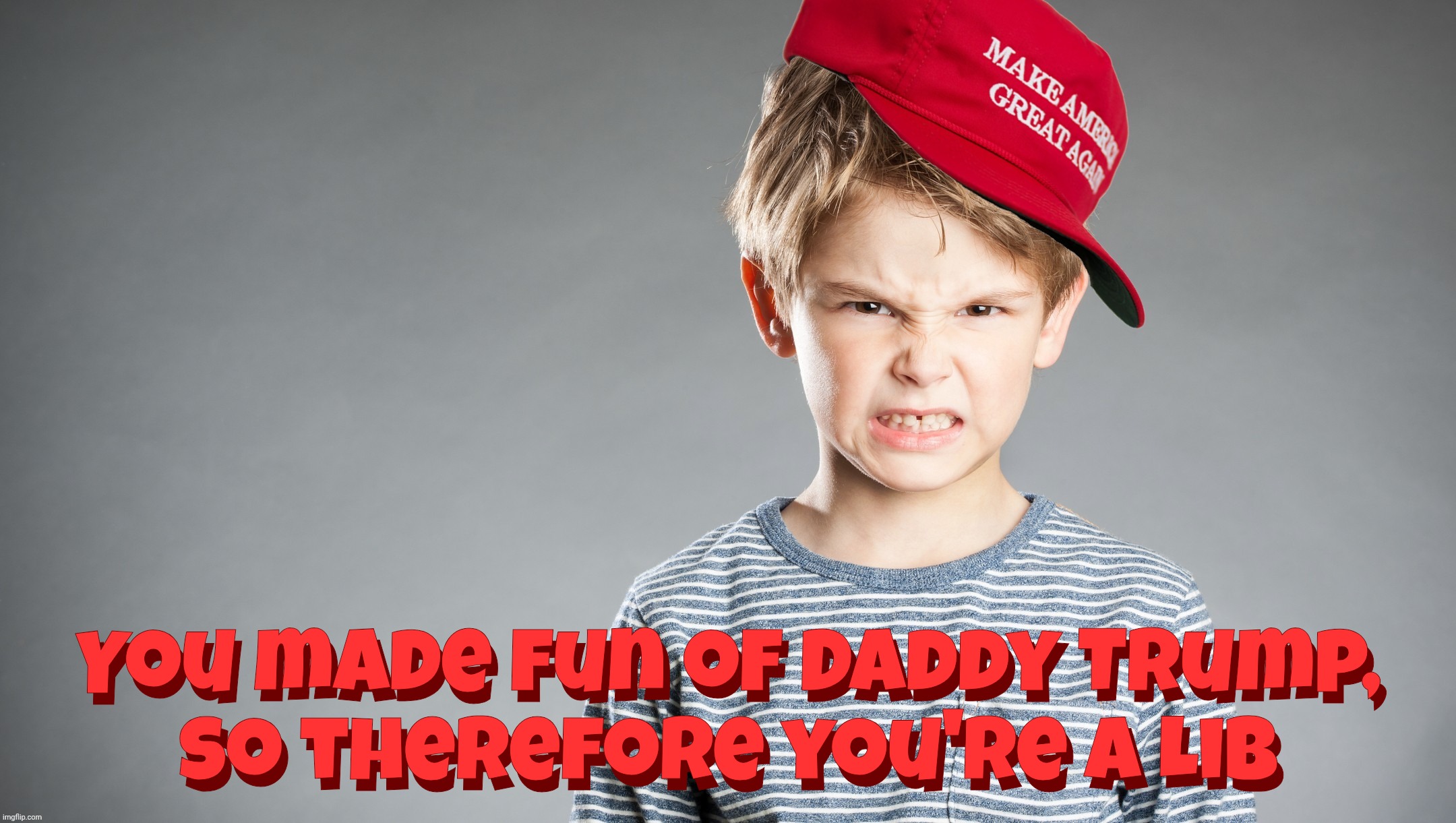 The neo-Nazi MAGAts will call you Lib, Leftist, Commie, Fascist, and, yes, Nazi for daring to criticize Dear Leader Trump | You made fun of Daddy Trump,
so therefore you're a Lib; You made fun of Daddy Trump,
so therefore you're a Lib | image tagged in maga kid mad,magats,daddy trump,it's not a cult,it's a toilet,full of nazi turds | made w/ Imgflip meme maker
