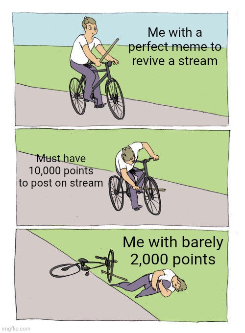Long story short that stream is dead | Me with a perfect meme to revive a stream; Must have 10,000 points to post on stream; Me with barely 2,000 points | image tagged in memes,bike fall | made w/ Imgflip meme maker