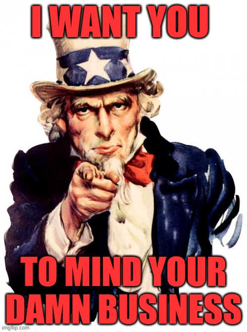 Mind you own business! | I WANT YOU; TO MIND YOUR DAMN BUSINESS | image tagged in memes,uncle sam | made w/ Imgflip meme maker