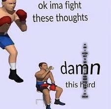 i like -when images small | my name is not Sade and if you think my name is Sade you're wrong because my name is not Sade, ok? | image tagged in ok ima fight these thoughts | made w/ Imgflip meme maker