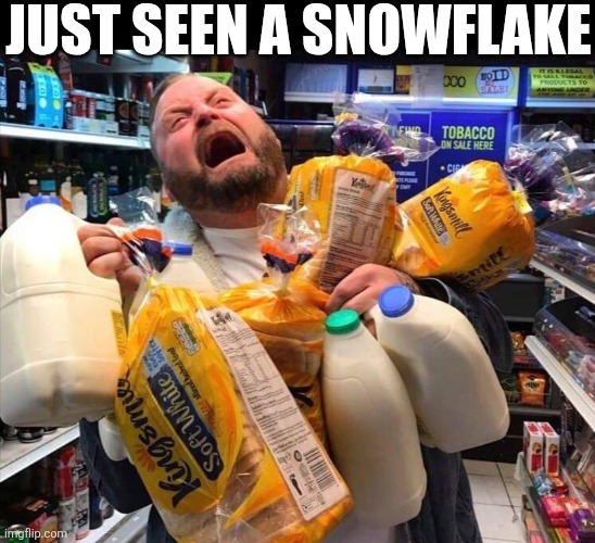 Just Seen A Snowflake | JUST SEEN A SNOWFLAKE | image tagged in just seen a snowflake | made w/ Imgflip meme maker