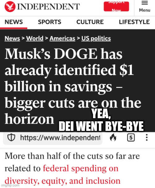 YEA,
DEI WENT BYE-BYE | made w/ Imgflip meme maker