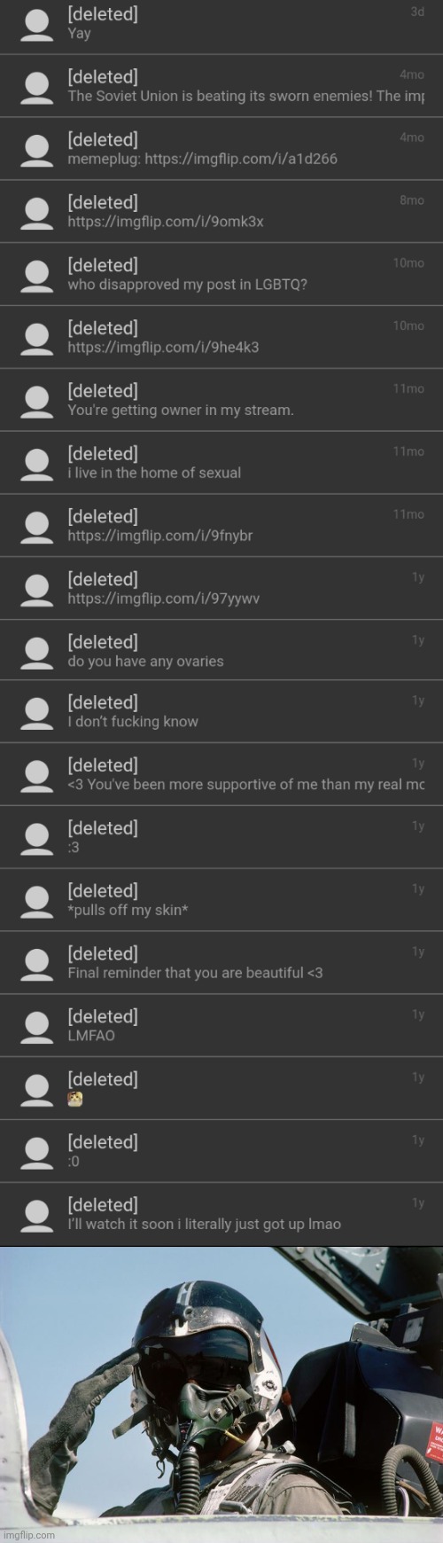 image tagged in fighter jet pilot salute | made w/ Imgflip meme maker