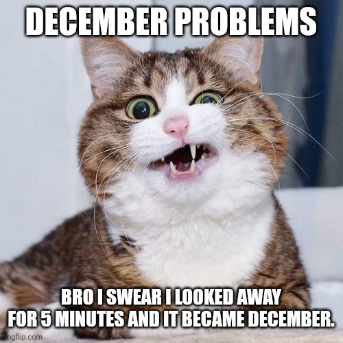 December Be Doing Too Much | DECEMBER PROBLEMS; BRO I SWEAR I LOOKED AWAY FOR 5 MINUTES AND IT BECAME DECEMBER. | image tagged in confused cat,december,time lapse | made w/ Imgflip meme maker