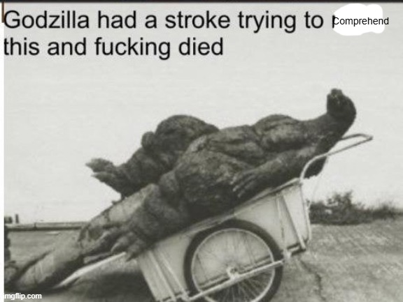 Godzilla | Comprehend | image tagged in godzilla | made w/ Imgflip meme maker