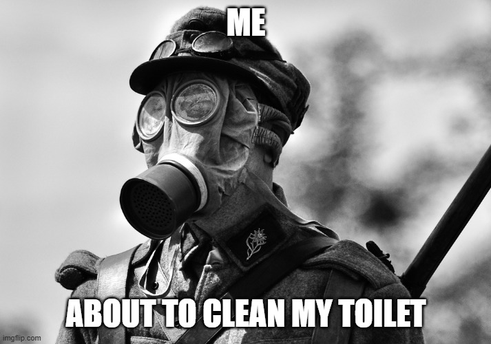 ww1 gas mask | ME ABOUT TO CLEAN MY TOILET | image tagged in ww1 gas mask | made w/ Imgflip meme maker