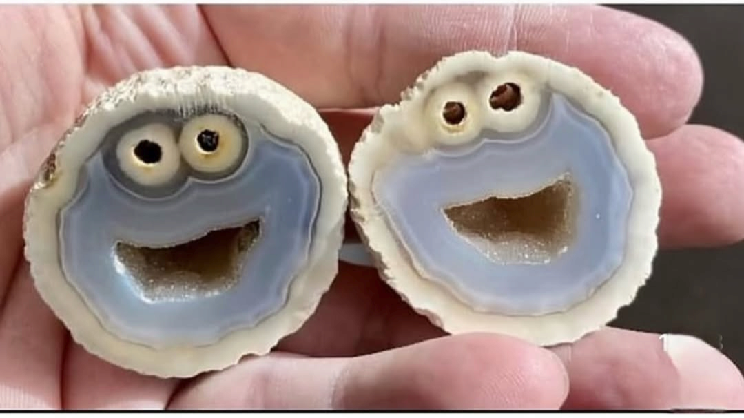 Cookie monster rock Blank Meme Template