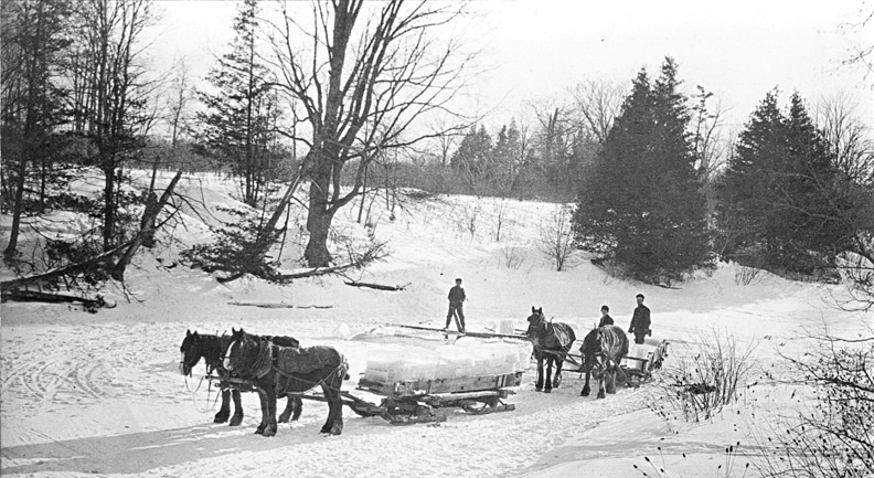 Leafs staff harvesting ice for the last Stanley Cup celebration Blank Meme Template