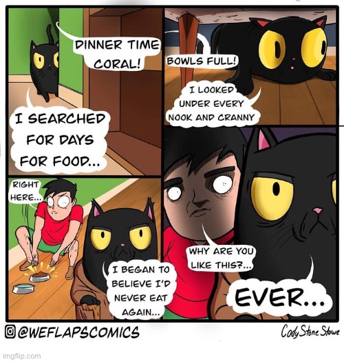 WeFlaps | image tagged in cats,comics,weflaps,searching,hungry | made w/ Imgflip meme maker