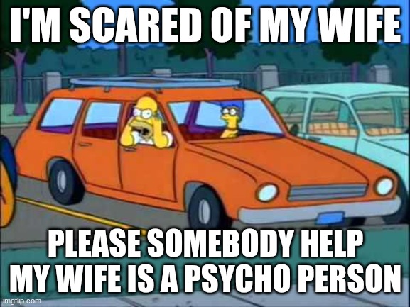 Help | I'M SCARED OF MY WIFE; PLEASE SOMEBODY HELP MY WIFE IS A PSYCHO PERSON | image tagged in homer simpson nerd | made w/ Imgflip meme maker