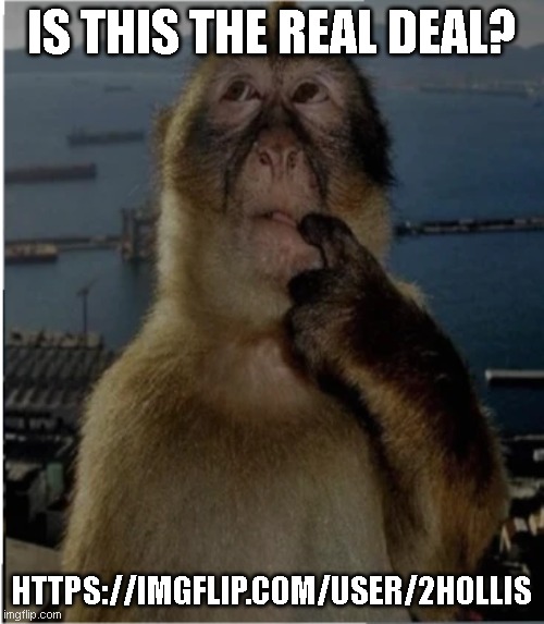 thinking monkey | IS THIS THE REAL DEAL? HTTPS://IMGFLIP.COM/USER/2HOLLIS | image tagged in thinking monkey | made w/ Imgflip meme maker