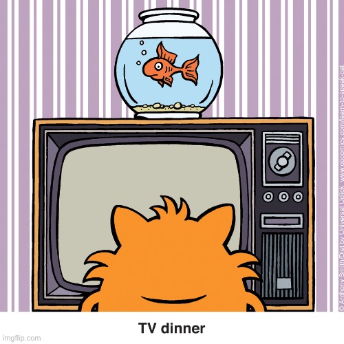 Learn to Speak Cat | image tagged in cats,comics,learn to speak cat,tv dinner | made w/ Imgflip meme maker
