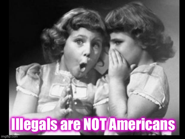 Friends sharing | Illegals are NOT Americans | image tagged in friends sharing | made w/ Imgflip meme maker