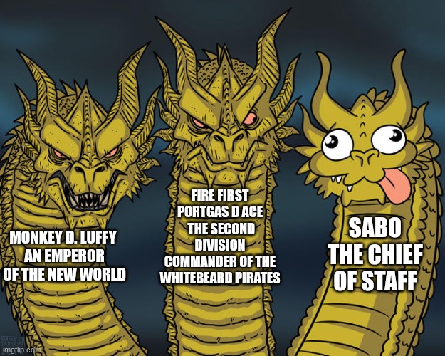 sabo's title is so funny to me (and yes I know they call him the flame emperor but no one calls him that normally) | FIRE FIRST PORTGAS D ACE
 THE SECOND DIVISION COMMANDER OF THE WHITEBEARD PIRATES; SABO THE CHIEF OF STAFF; MONKEY D. LUFFY 
AN EMPEROR OF THE NEW WORLD | image tagged in three-headed dragon | made w/ Imgflip meme maker