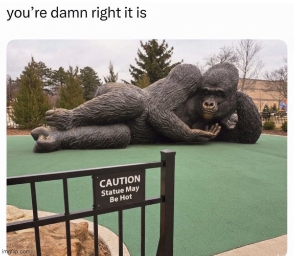 real | image tagged in gorilla,sexy,funny memes,shitpost | made w/ Imgflip meme maker