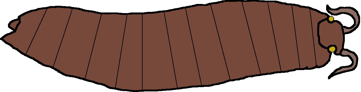 Female Arthropleura (Paleoverse + EOIverse) Meme Template