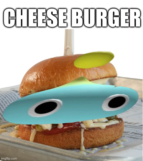 Cheese Burger | CHEESE BURGER | image tagged in sonic,fast food | made w/ Imgflip meme maker
