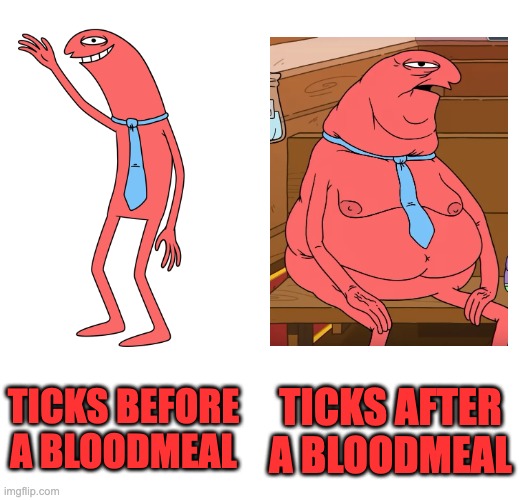 Medical Entomology Extra Credit | TICKS AFTER A BLOODMEAL; TICKS BEFORE A BLOODMEAL | image tagged in smiling friends | made w/ Imgflip meme maker