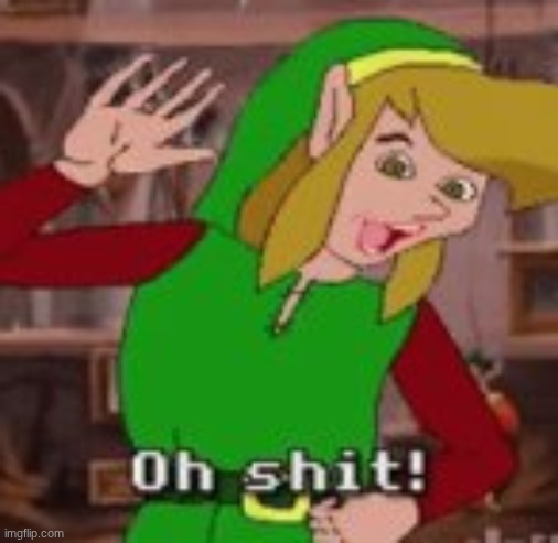 link oh shit | image tagged in link oh shit | made w/ Imgflip meme maker