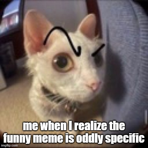 hmmm... | me when I realize the funny meme is oddly specific | image tagged in side eye eyebrow raise cat | made w/ Imgflip meme maker